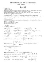 DE CUONG LOP 11 BAN CO BAN