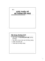 GIỚI THIỆU VỀ HỆ THỐNG ĐÃI NGỘ