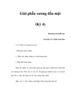 Giải phẫu xương đầu mặt (Kỳ 4) pot