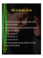 Bài giảng Chẩn đoán và điều trị nhức đầu (Phần 6) pdf