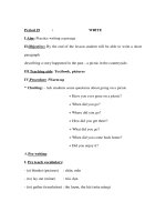 Giáo án Anh văn lớp 9 - Period 19 : WRITE pot