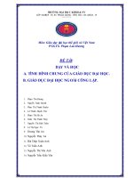 Tiểu luận tình hình chung của giáo dục đại học, giáo dục đại học công lập