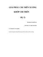 GIẢI PHẪU CHI TRÊN XƯƠNG KHỚP CHI TRÊN (Kỳ 2) ppt