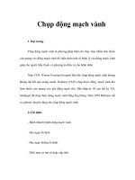 Chụp động mạch vành pot