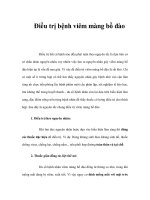 Điều trị bệnh viêm màng bồ ppt