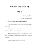 Giải phẫu vùng khuỷu tay (Kỳ 2) pdf