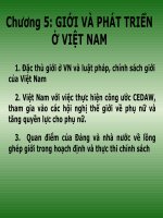 Giới và phát triển giới ở Việt Nam