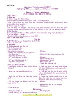 Giáo án lớp 3- Tuần 28 (Soạn theo chuẩn kiến thức kĩ năng TH)