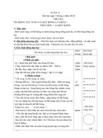 Giáo Án lớp 3 Tuần 31. CKTKN