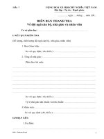 Mẫu 1: Thanh tra đội ngũ