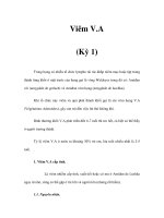Viêm V.A (Kỳ 1) ppt
