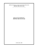 BÁO CÁO TỰ ĐÁNH GIÁ CSGD