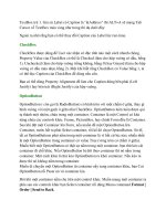 Visual Basic 6 Vovisoft part 6 pdf