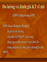 Đo lường và đánh giá kinh tế vĩ mô pptx