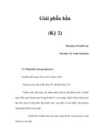 Giải phẫu hầu (Kỳ 2) pps