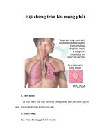 Hội chứng tràn khí màng phổi pptx