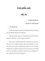 Giải phẫu mắt (Kỳ 6) potx