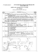 DAP AN DE THI GV GIOI TINH NGHE AN