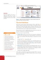 Learning Web Design Third Edition- P12 ppsx