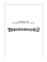 Kể chuyện 1000 năm Thăng Long Hà Nội
