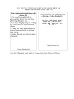 Mẫu chứng chỉ hành nghề kinh doanh dich vụ thiết kế phương tiện giao thông vận tải pdf