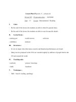 Giáo án Anh văn lớp 11 - Unit 13 - Period 105 pot