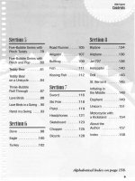 Thee Balloon Magic 260Q Figures- P2 ppsx