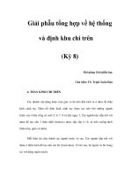 Giải phẫu tổng hợp về hệ thống và định khu chi trên (Kỳ 8) ppsx