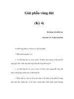 Giải phẫu vùng đùi (Kỳ 4) pdf