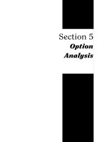 101Option Trading Secrets Section 5 pptx