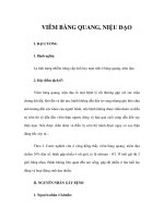 VIÊM BÀNG QUANG, NIỆU ĐẠO pdf
