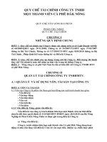 quy che tai chinh cty TNHH MTV moi 2010 doc