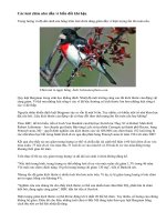 Các loài chim nhỏ dần vì biến đổi khí hậu