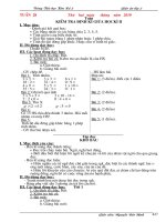 GA lớp 2 - Tuần 28 đã sửa