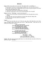 Đề thi HSG văn 8-đề số 2