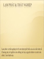 Kinh tế vĩ mô-Lạm phát & Thất nghiệp docx