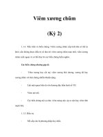 Viêm xương chũm (Kỳ 2) doc