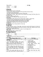 GIÁO ÁN MĨ THUẬT 8 (09-10)