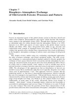 Springer Old Growth Forests - Chapter 7 ppt