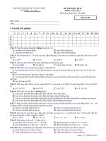 Kiểm Tra HKII Vật Lí 11 (CB) Đề 2