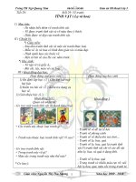 Mi thuat 3- tuan 29 ( co hinh)