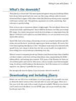 JQuery: Novice to Ninja- P3 doc