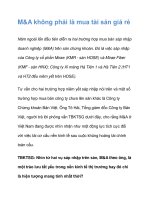 M&A không phải là mua tài sản giá rẻ ppt