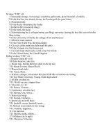 Cách dùng mạo từ 