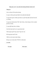 Bằng khen của Ủy ban nhân dân thành phố thành tích đột xuất docx