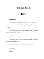 Bệnh án bỏng (Kỳ 2) pps