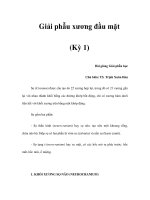 Giải phẫu xương đầu mặt (Kỳ 1) pdf