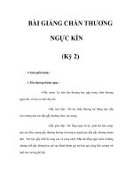 BÀI GIẢNG CHẤN THƯƠNG NGỰC KÍN (Kỳ 2) docx