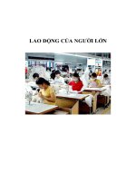 LAO ĐỘNG CỦA NGƯỜI LỚN pdf