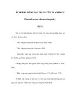 BỆNH HẮC VÕNG MẠC TRUNG TÂM THANH DỊCH (Kỳ 1) pot